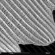 Illustration for article titled How Nanoscale Optics Create Natures Most Dazzling Colors